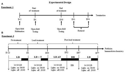 Circadian Clock Protein Content and Daily Rhythm of Locomotor Activity Are Altered after Chronic Exposure to Lead in Rat